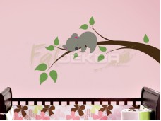 Aranyos, alvó koala falmatrica